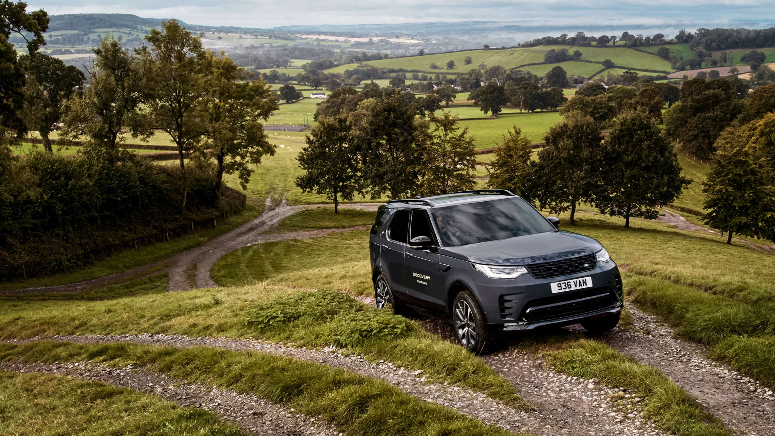 DISCOVERY THREE HOUR EXPERIENCE