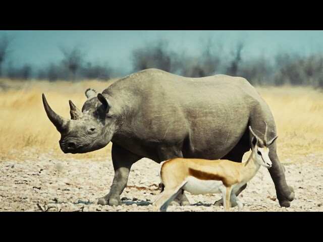 Adventure Travel | Sub Saharan Africa